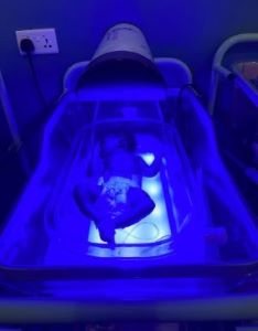 Phototherapy Unit